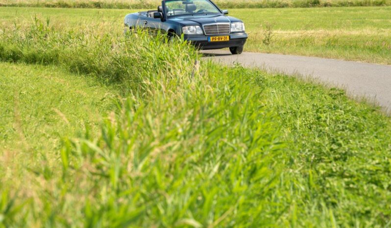 Mercedes-Benz A124 E220 Cabriolet 1996 full